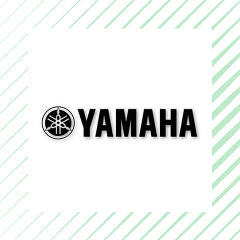 Free Bootstrap Template by uicookies.com